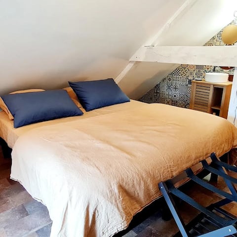 Guest house in Sologne for 14 people