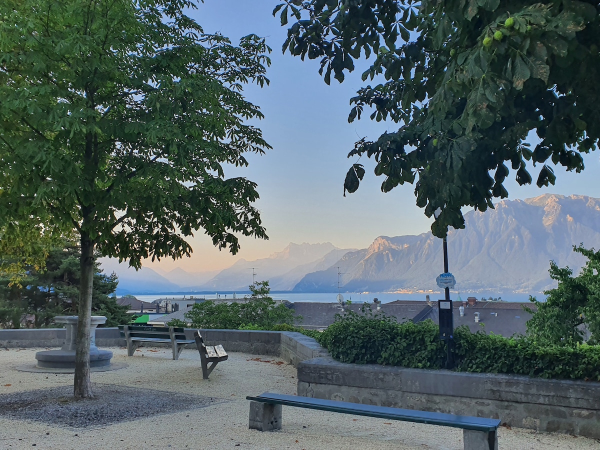 A scenic outdoor space features a sandy area with several benches and seating options under leafy trees. In the background, a view of tranquil waters complements the surrounding mountains, illuminated by soft sunlight. The serene landscape promotes relaxation and enjoyment of nature.