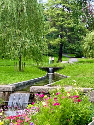 En grønn oase midt i Oslo gallery image 4