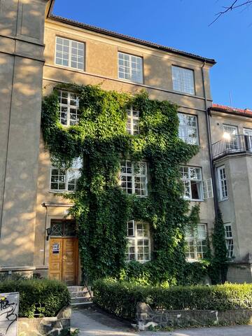 En grønn oase midt i Oslo gallery image 5