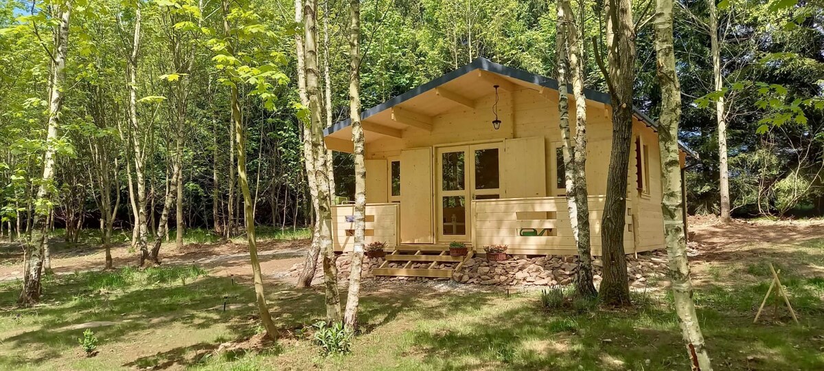 A wooden cabin is nestled among lush greenery, featuring a covered porch with seating and potted plants. Large windows allow natural light to fill the interior, while trees provide shade and enhance the serene setting of the surrounding landscape.