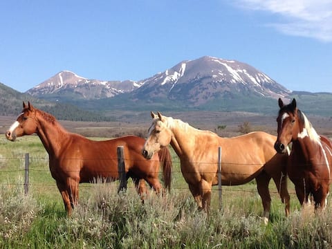 Mount Peale Cabin 3 (Near Moab)