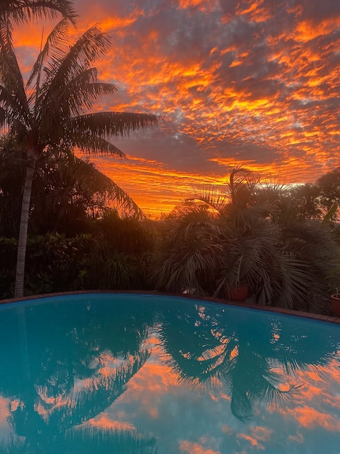 Ultimate views
