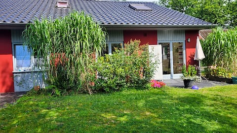 Sunny and quiet apartment