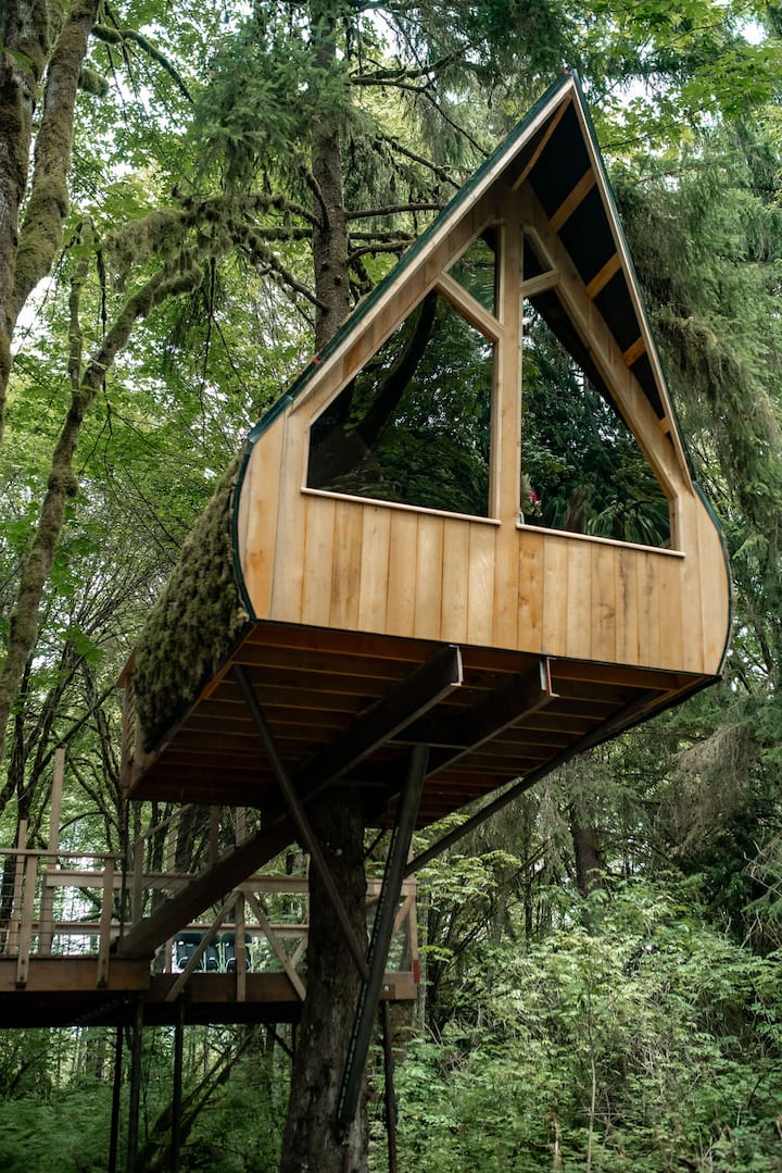 Trees For Renter Cedar Treehouse Nature Retreat - Treehouses for Rent in Acme ...