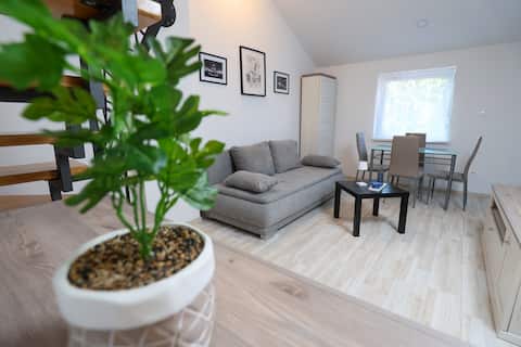 Top performing Airbnb: Zagreb Mini Suites 2 - Down Town - Private Parking in Trnje