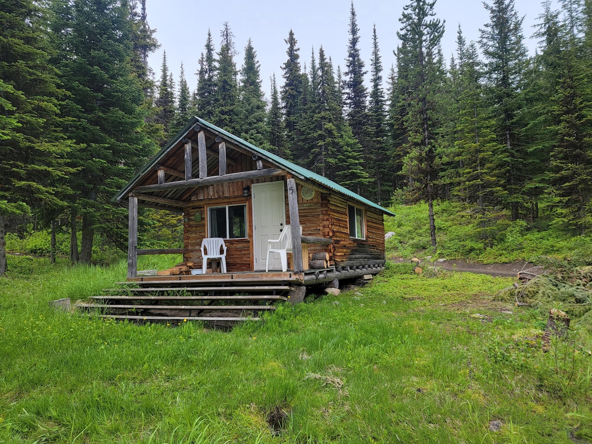A rustic cabin is nestled among tall evergreen trees, featuring a wooden deck with two white chairs. The cabin's entrance is framed by large logs and surrounded by lush greenery, providing a serene retreat in nature.