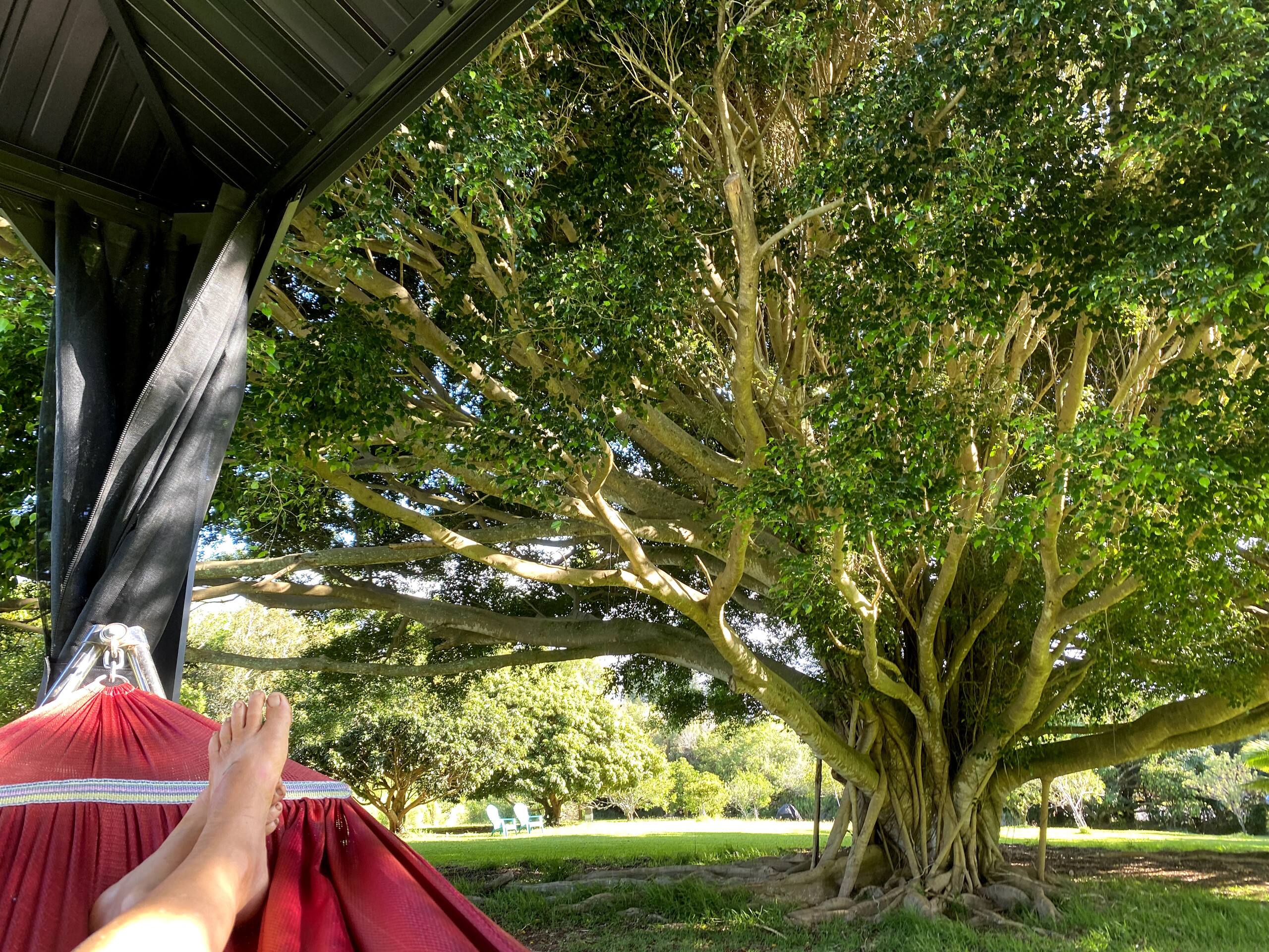 Cozy Corner at Kapua Gulch Farms - Photo 6