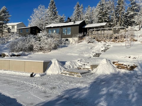 Modern lake-site cottage