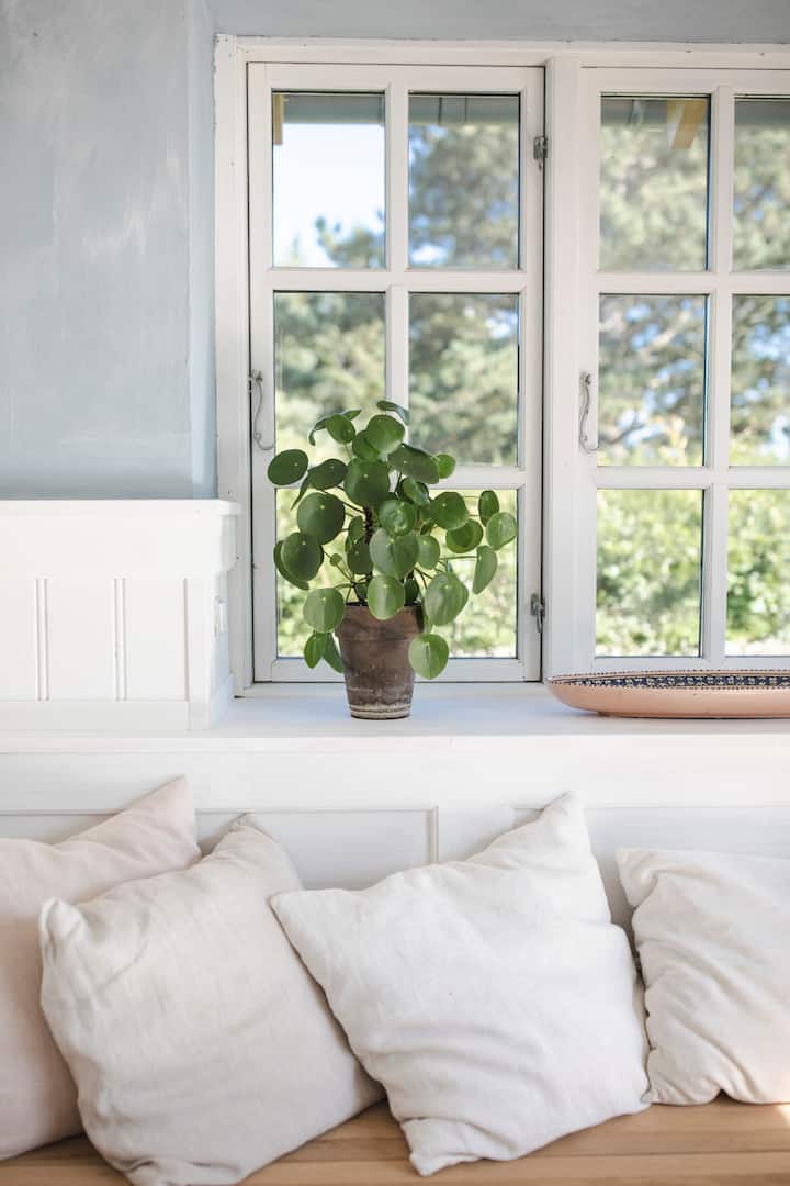 مقعد مع مرتبة 70 × 200