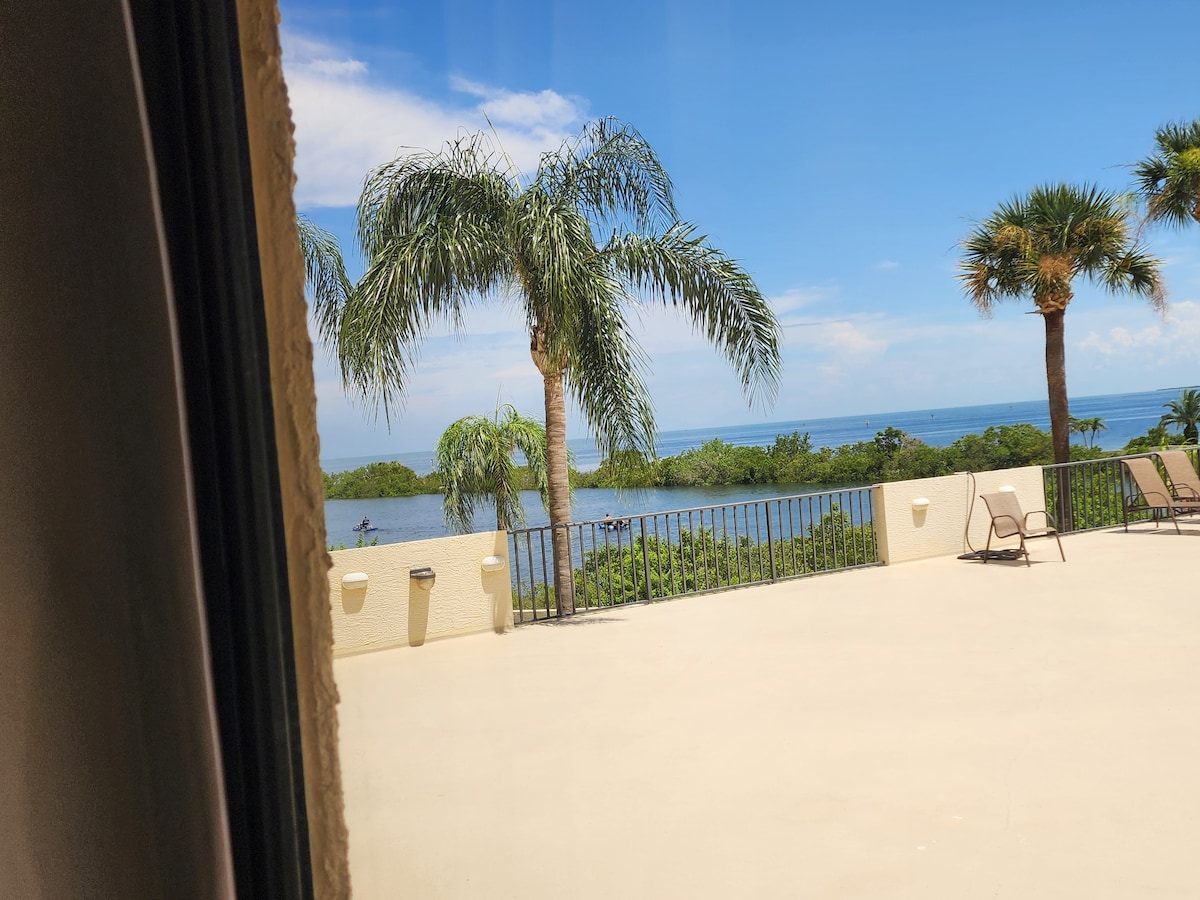 A spacious outdoor patio features a smooth concrete surface, framed by lush greenery and palm trees. A panoramic view of the water is visible in the distance, enhancing the natural scenery. Several lounge chairs are arranged neatly to provide comfortable seating.