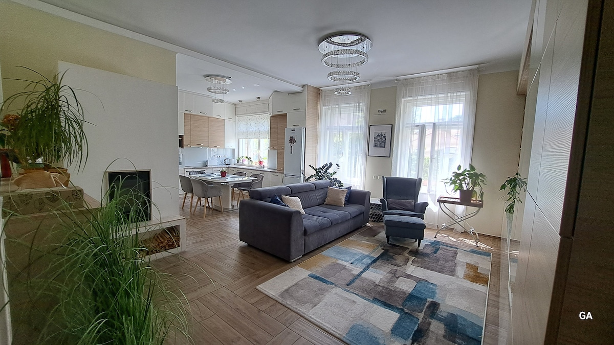 The living area features a spacious sofa and an armchair arranged around a geometric area rug. Light streams through large windows, illuminating the modern decor. A dining table for several is visible in the background, alongside a sleek kitchen setup. Decorative plants add a touch of greenery.