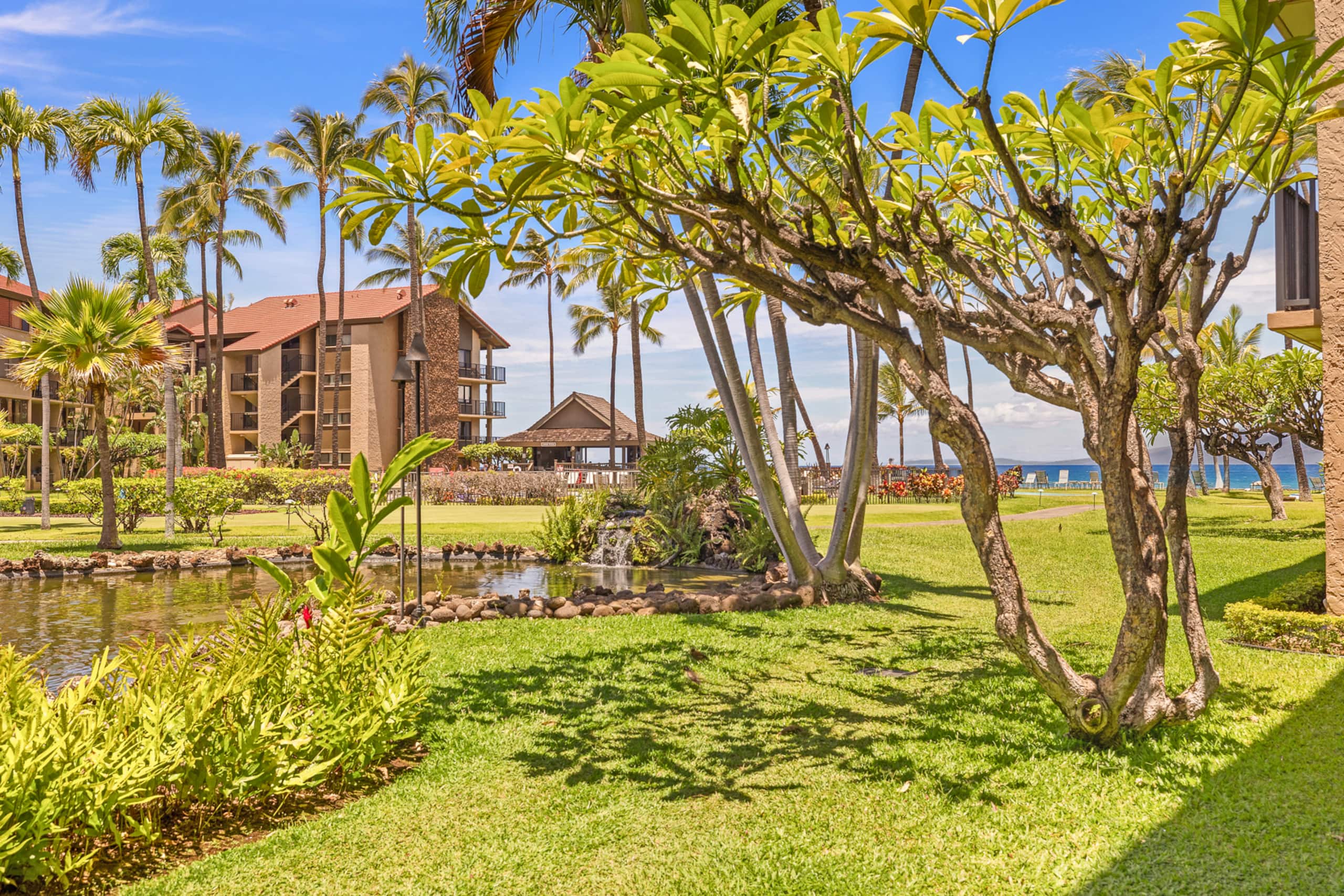 Condo in Lahaina · ★4.8 · 1 bedroom · 2 beds · 1 bath - Image 5