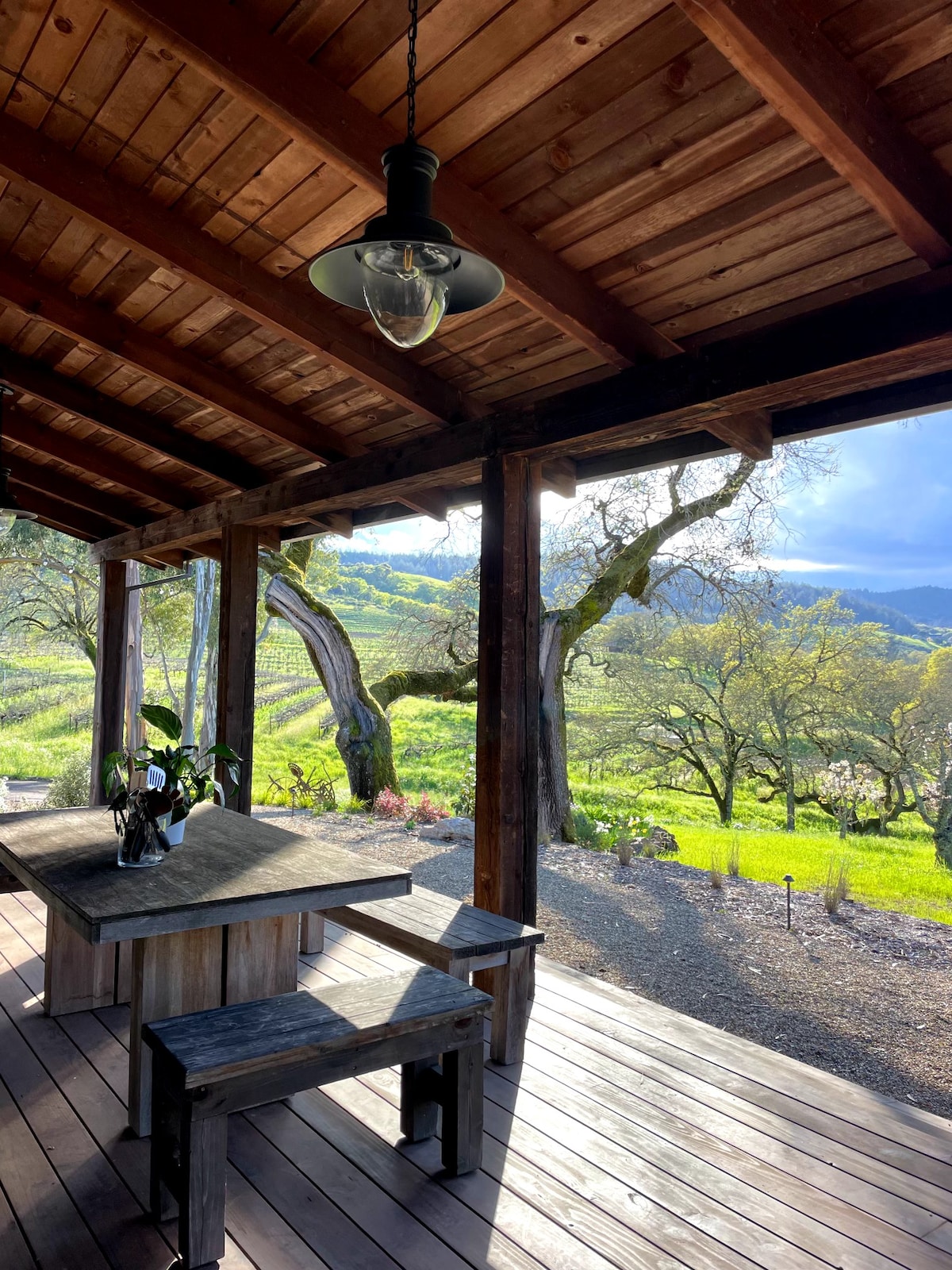 A covered deck features rustic wooden tables and benches, with a vase of plants on the table. Expansive views of the vineyard and hills are visible through large openings, providing a scenic backdrop of greenery and distant mountains.