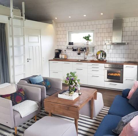 Top performing Airbnb: Lilla-Solliden in Laholm