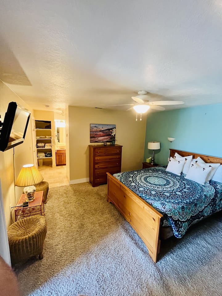 Carpeted Master bedroom with TV , dresser, bathroom across with Linens.   Lighted Ceiling Fan and a small balcony  Overlooking the river. plenty of lamps.