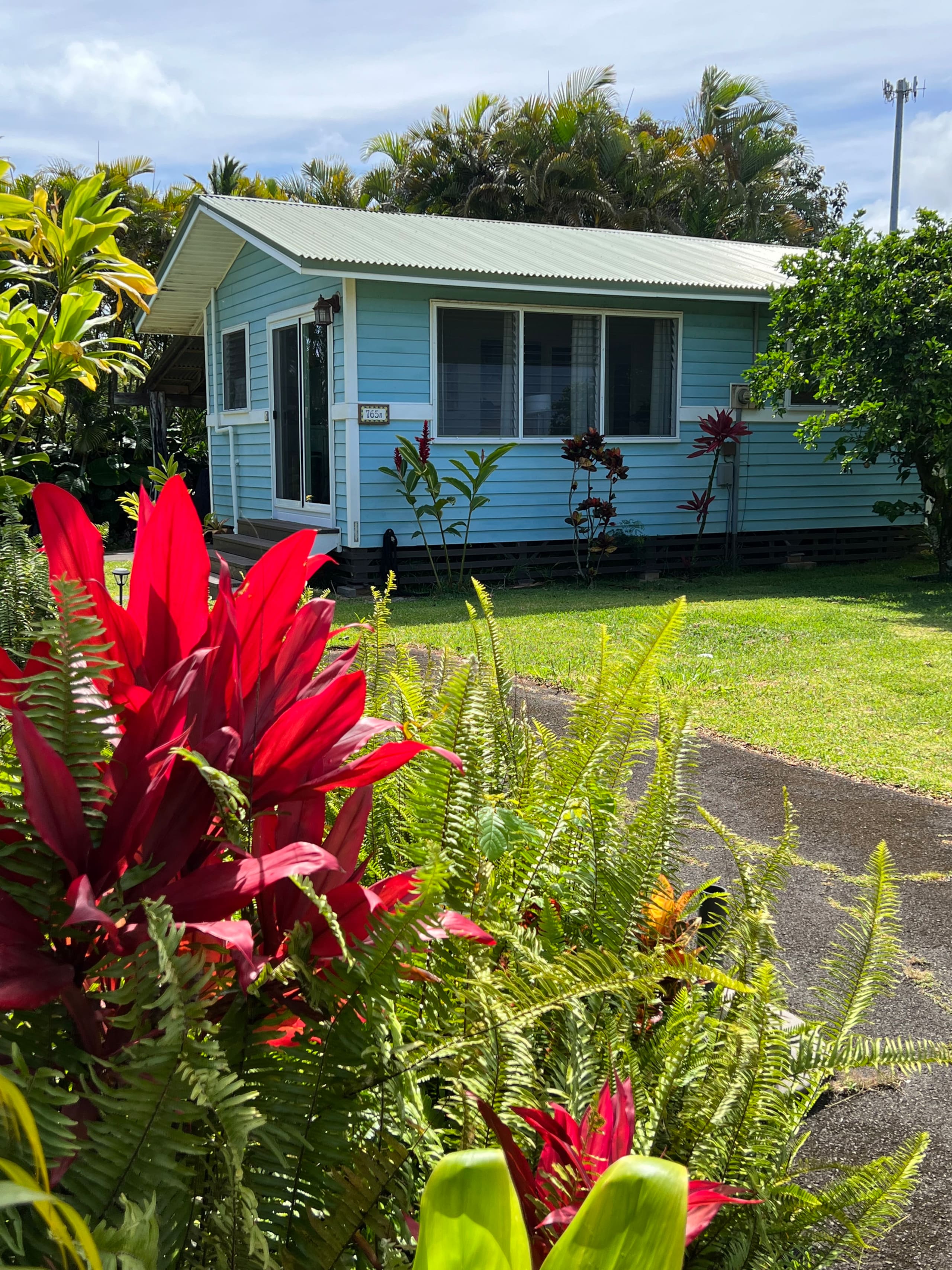 Great Location, 1 BR Beachy, VERY CLEAN Cottage - Image 1