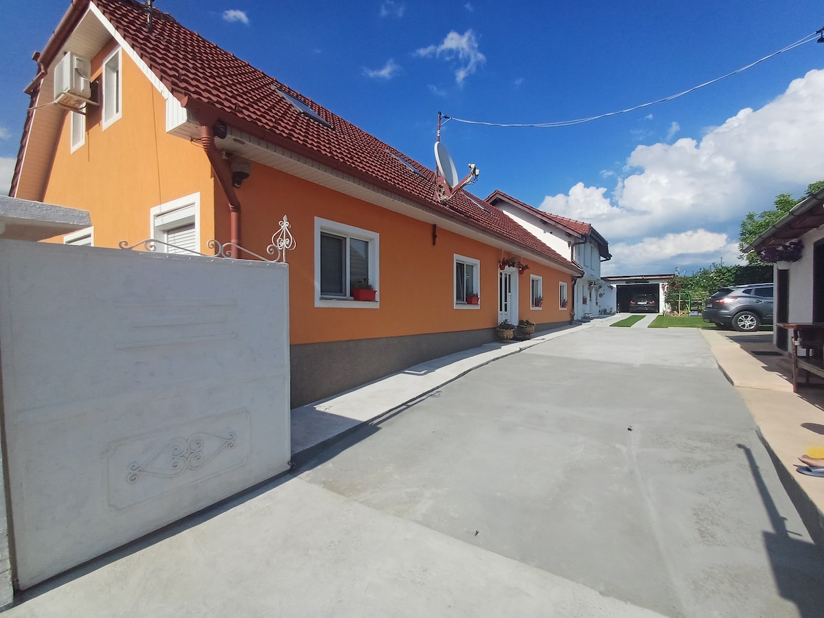 A bright orange exterior of the house is shown, featuring a well-maintained pathway leading to the entrance. White window frames and a small flower pot enhance the facade. A clear blue sky and fluffy clouds provide a refreshing backdrop, while the driveway accommodates parking.