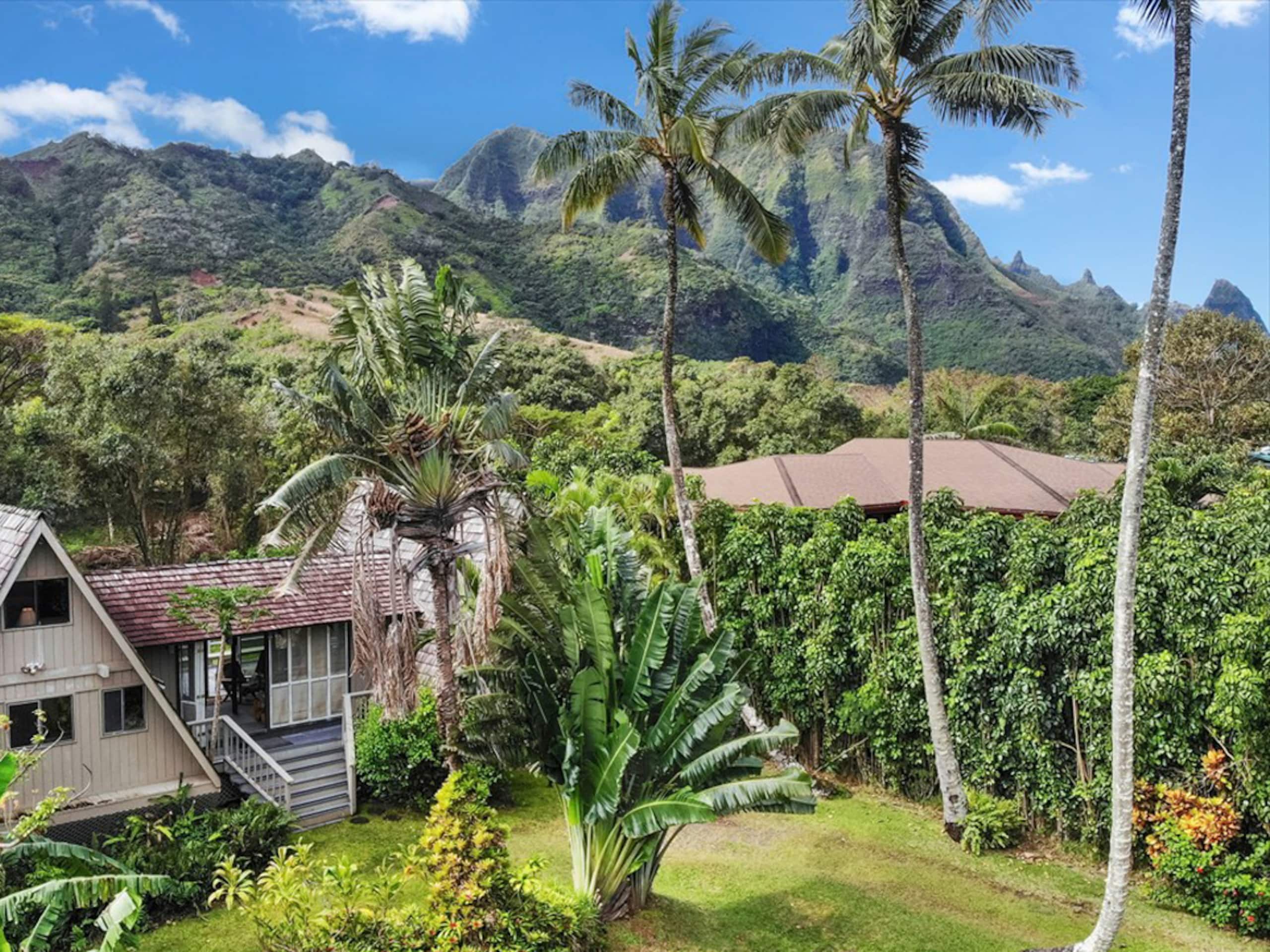 Home in Hanalei · ★5.0 · 3 bedrooms · 3 beds · 2 baths - Photo 17