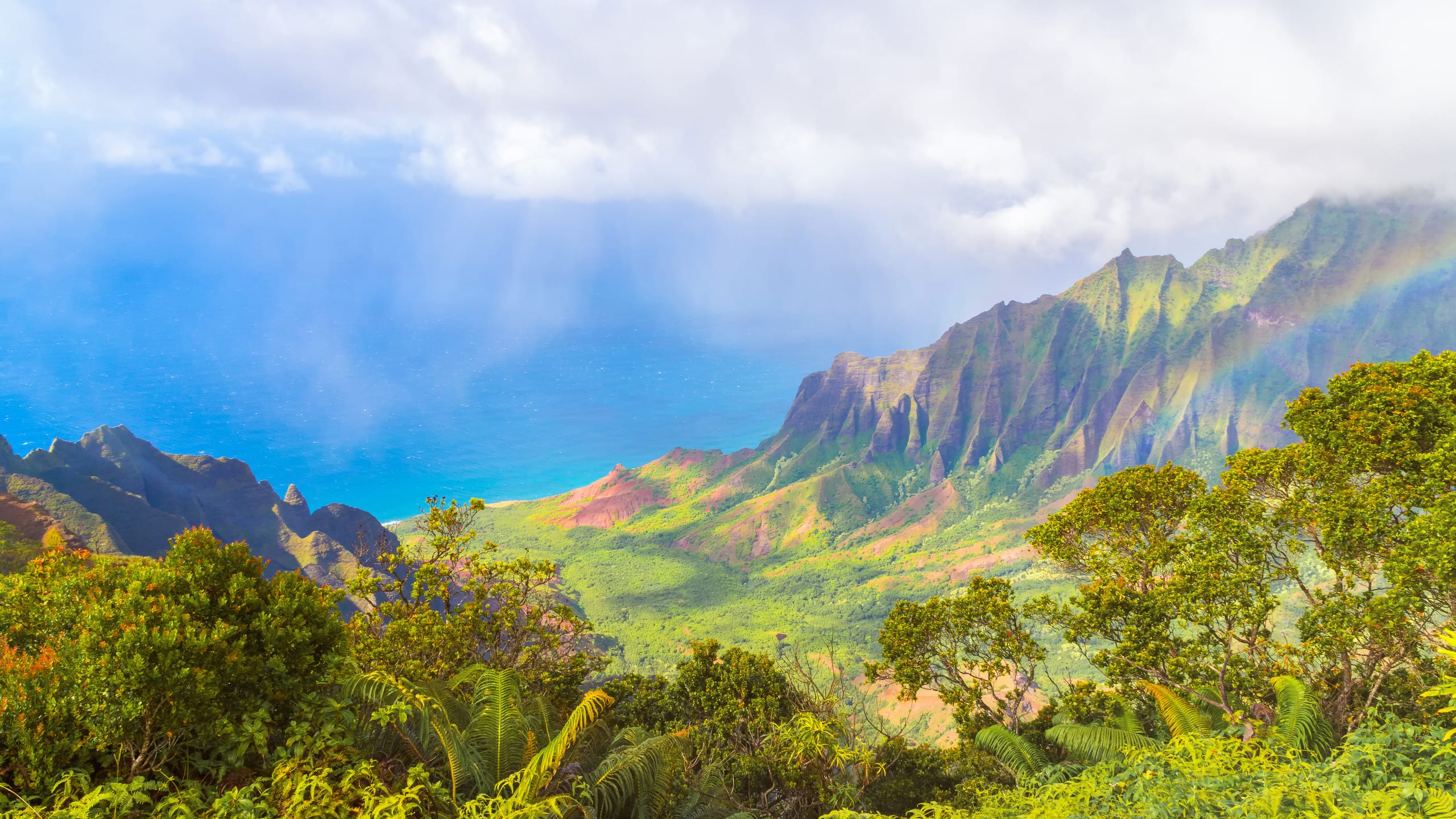 Home in Hanalei · ★5.0 · 3 bedrooms · 3 beds · 2 baths - Photo 27