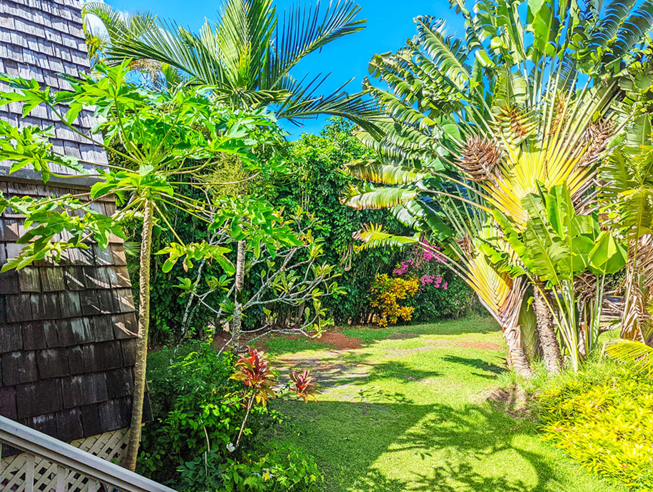 Home in Hanalei · ★5.0 · 3 bedrooms · 3 beds · 2 baths - Photo 18