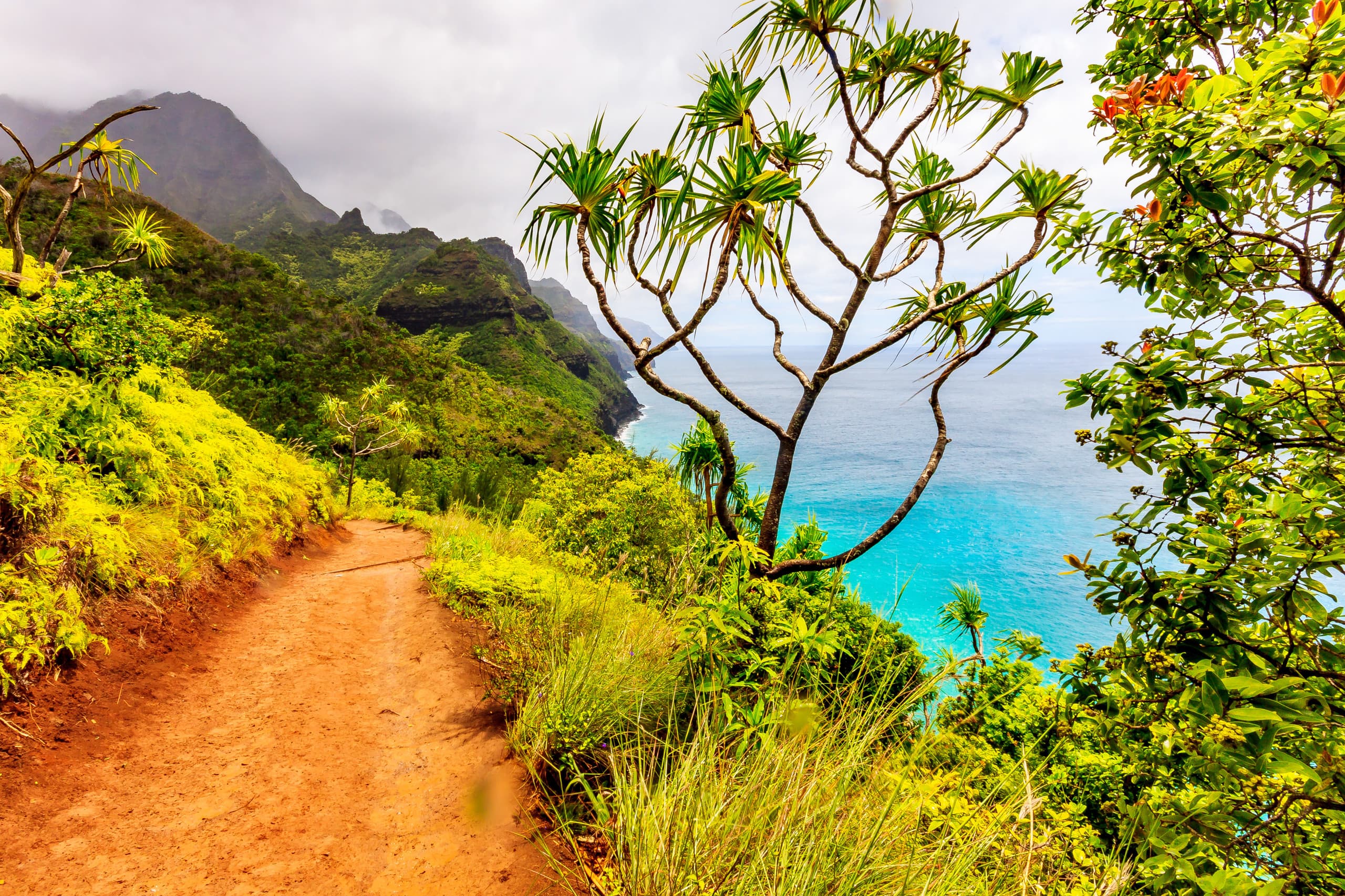 Home in Hanalei · ★5.0 · 3 bedrooms · 3 beds · 2 baths - Photo 28