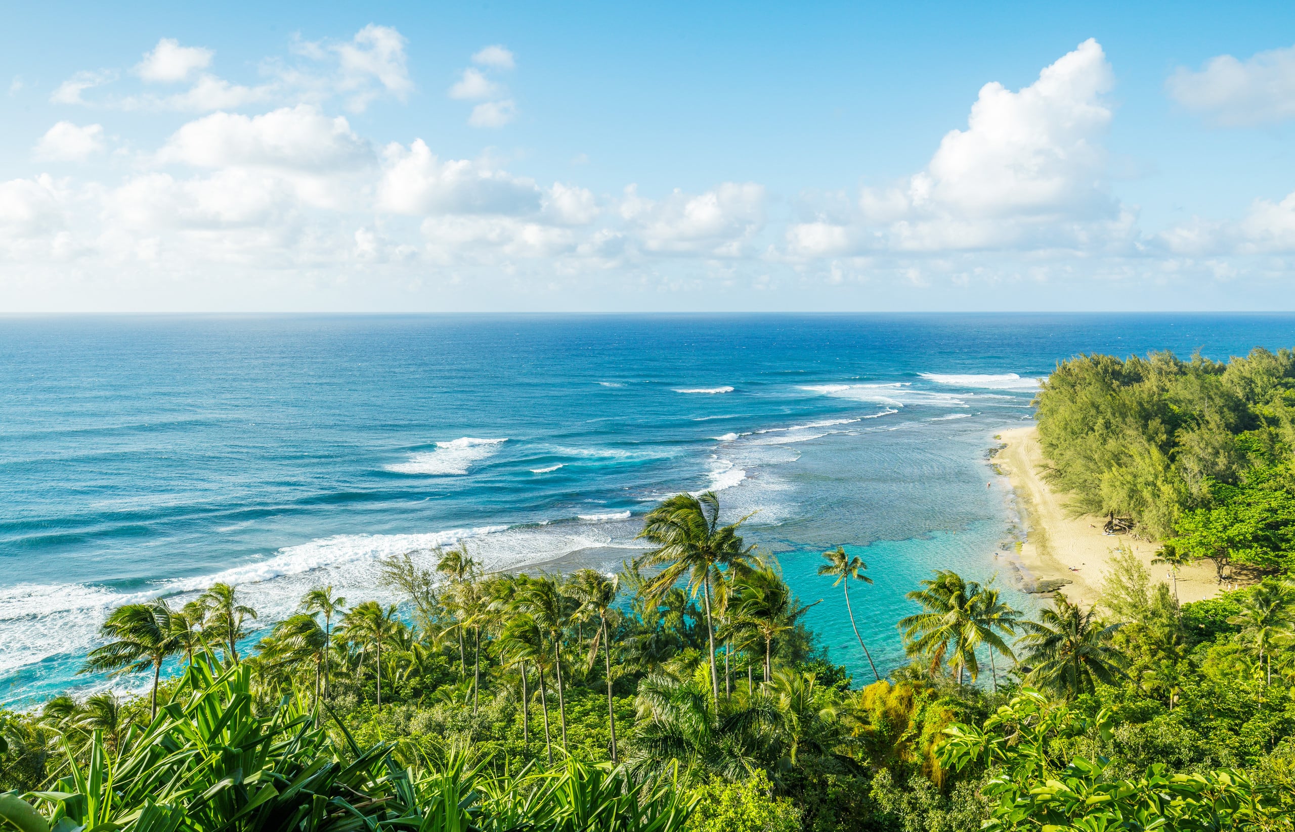 Home in Hanalei · ★5.0 · 3 bedrooms · 3 beds · 2 baths - Photo 25