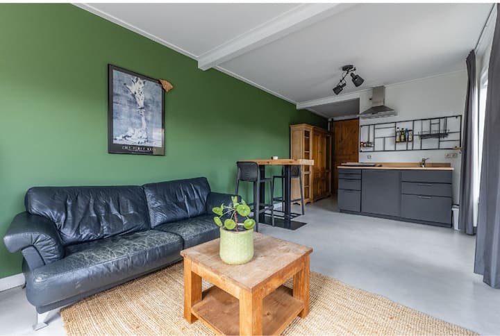 Dream Getaway To The City, Beach, Forest And Dunes - Castricum