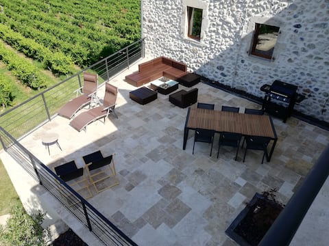 Gite for 4/6 people in the heart of the vineyards