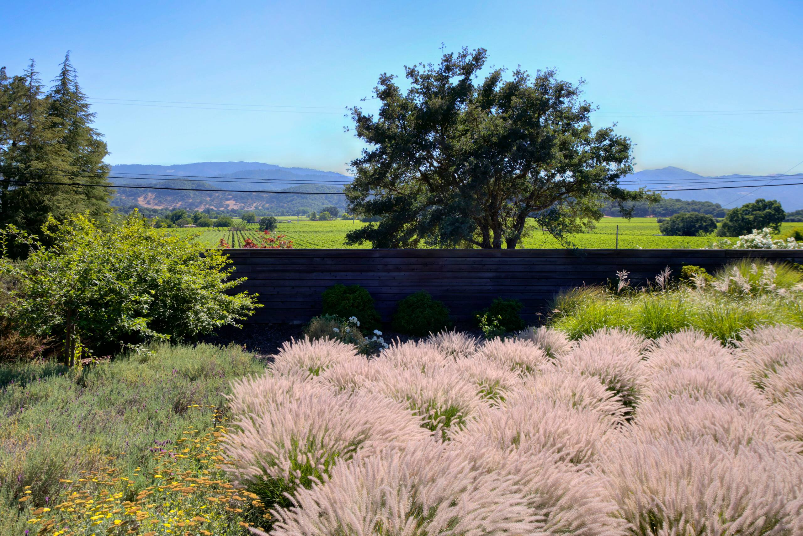 Wine Country Home with Pool, Hot Tub & Bocce - Photo 12
