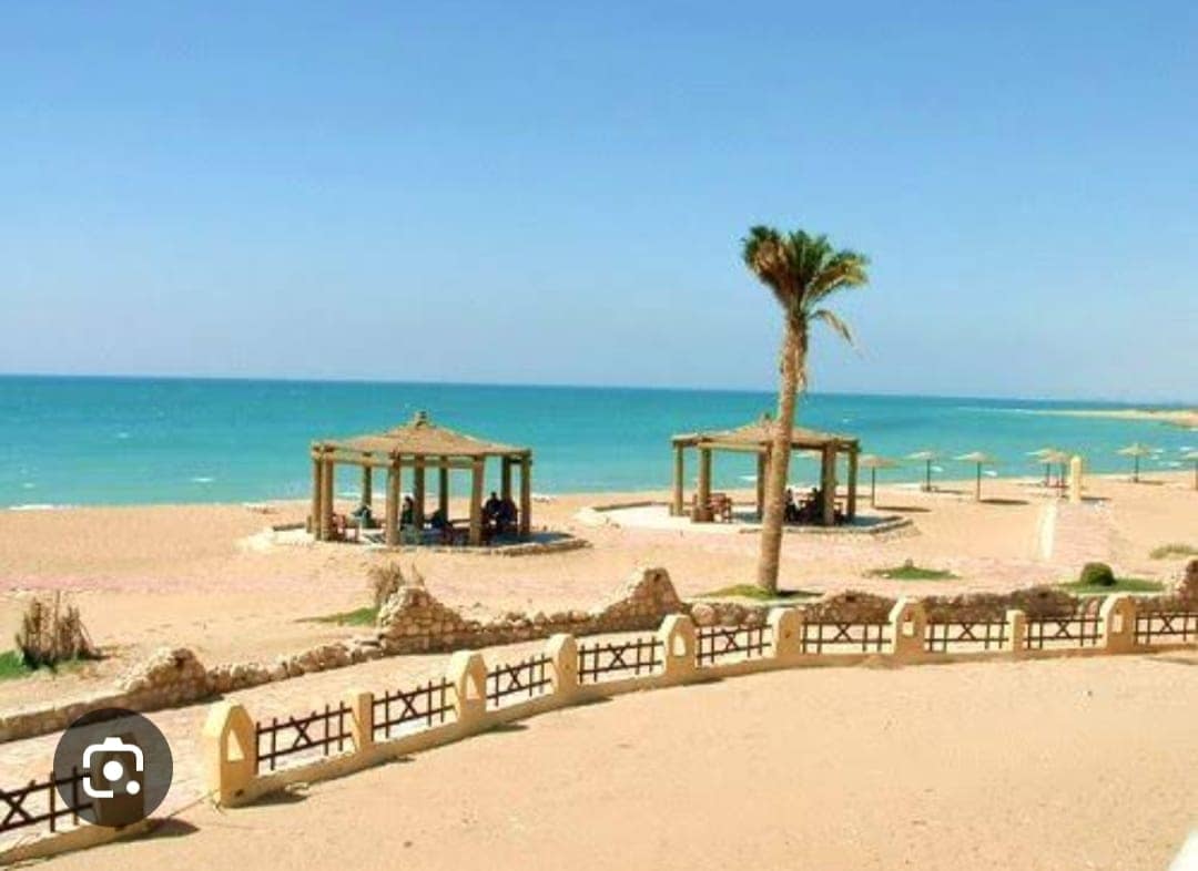 The image features a sandy beach with a clear blue sea in the background. Several shaded gazebos with seating are visible along the shoreline, accompanied by palm trees. The horizon showcases a serene and unobstructed view of the ocean, emphasizing a tranquil setting.