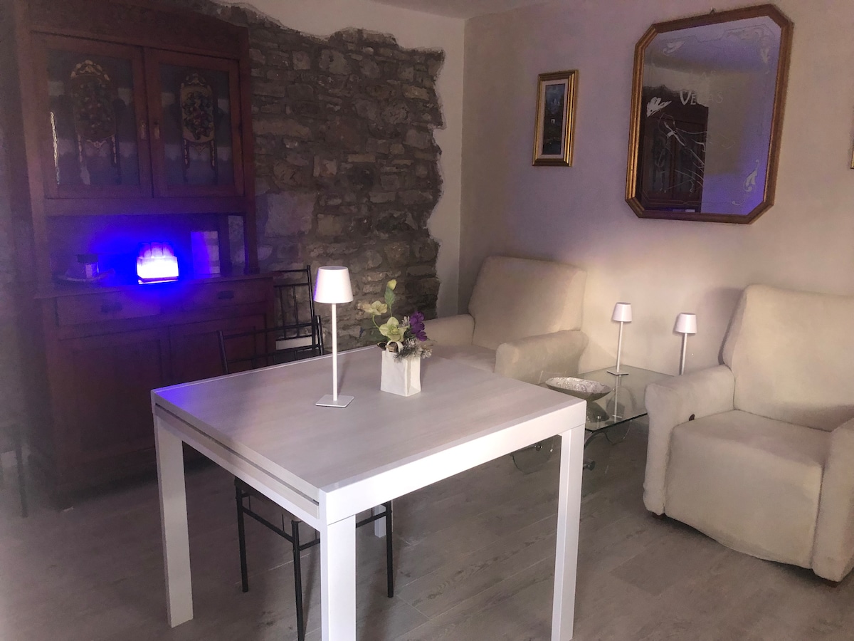 Proprietà Airbnb di successo: Single stone house a Parma