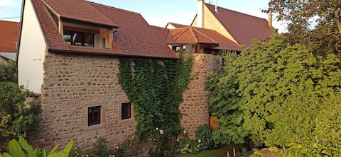 The Tower, Garden side