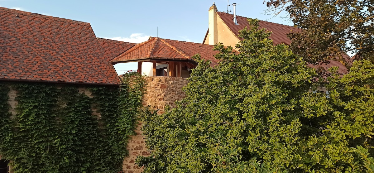 Proprietà Airbnb di successo: The Tower, Garden side a Obernai