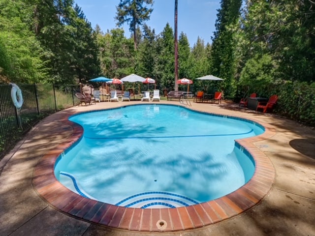 A charming pool area is surrounded by lush greenery, featuring a uniquely shaped pool with a brick border. Several lounge chairs and umbrellas are positioned around the deck, providing ample space for relaxation in serene nature.