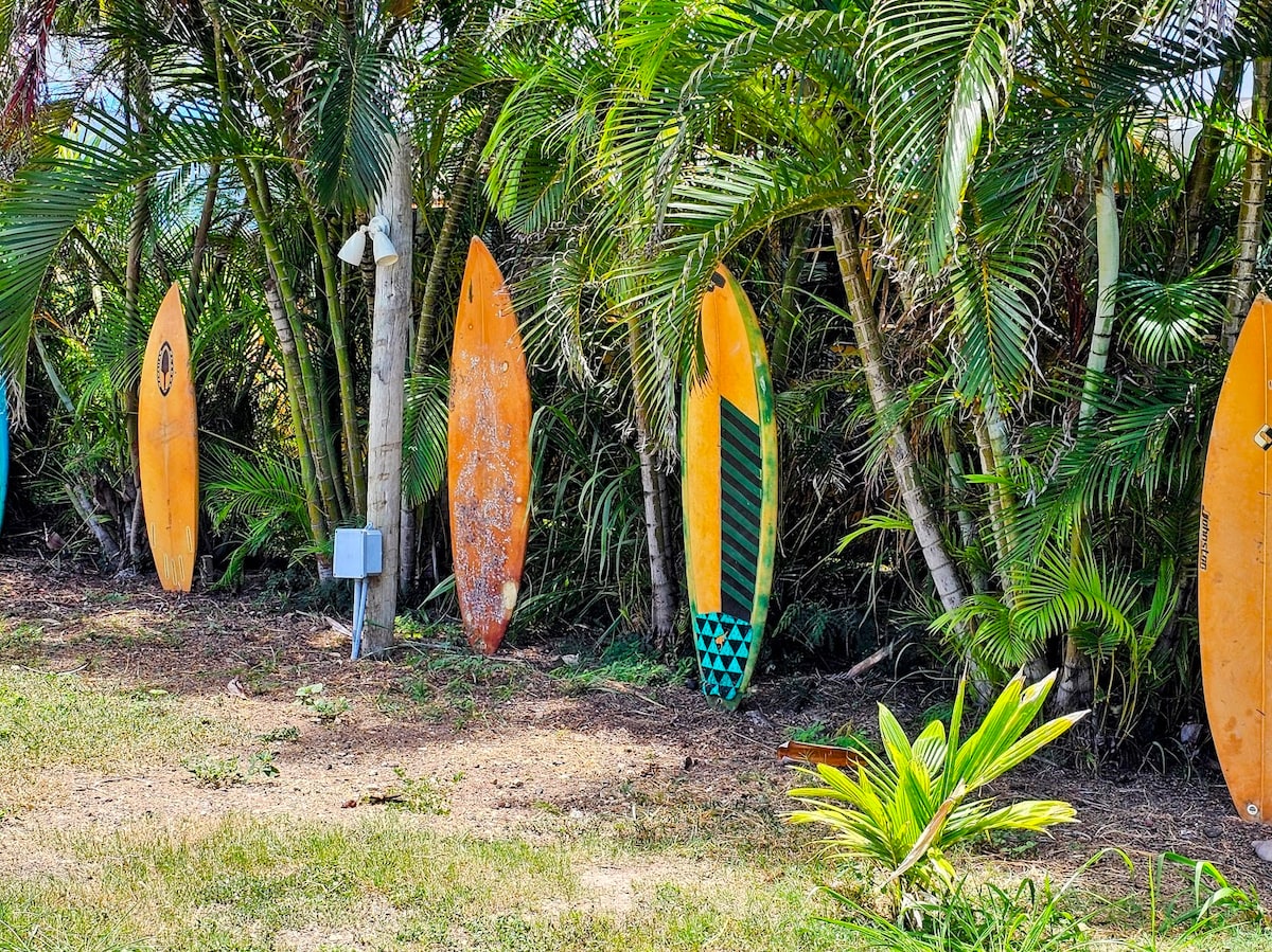 Several surfboards are propped against lush tropical foliage, their bright orange and green colors contrasting with the greenery. The scene is set in a well-maintained yard, showcasing a laid-back atmosphere typical of island life.