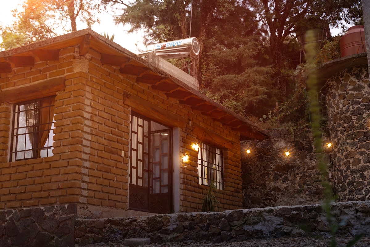 A charming cabin is depicted with rustic brick walls and a wooden roof. Soft lighting from outdoor fixtures creates a warm ambiance. The entrance features glass-paneled doors, surrounded by natural landscaping and scenic trees.