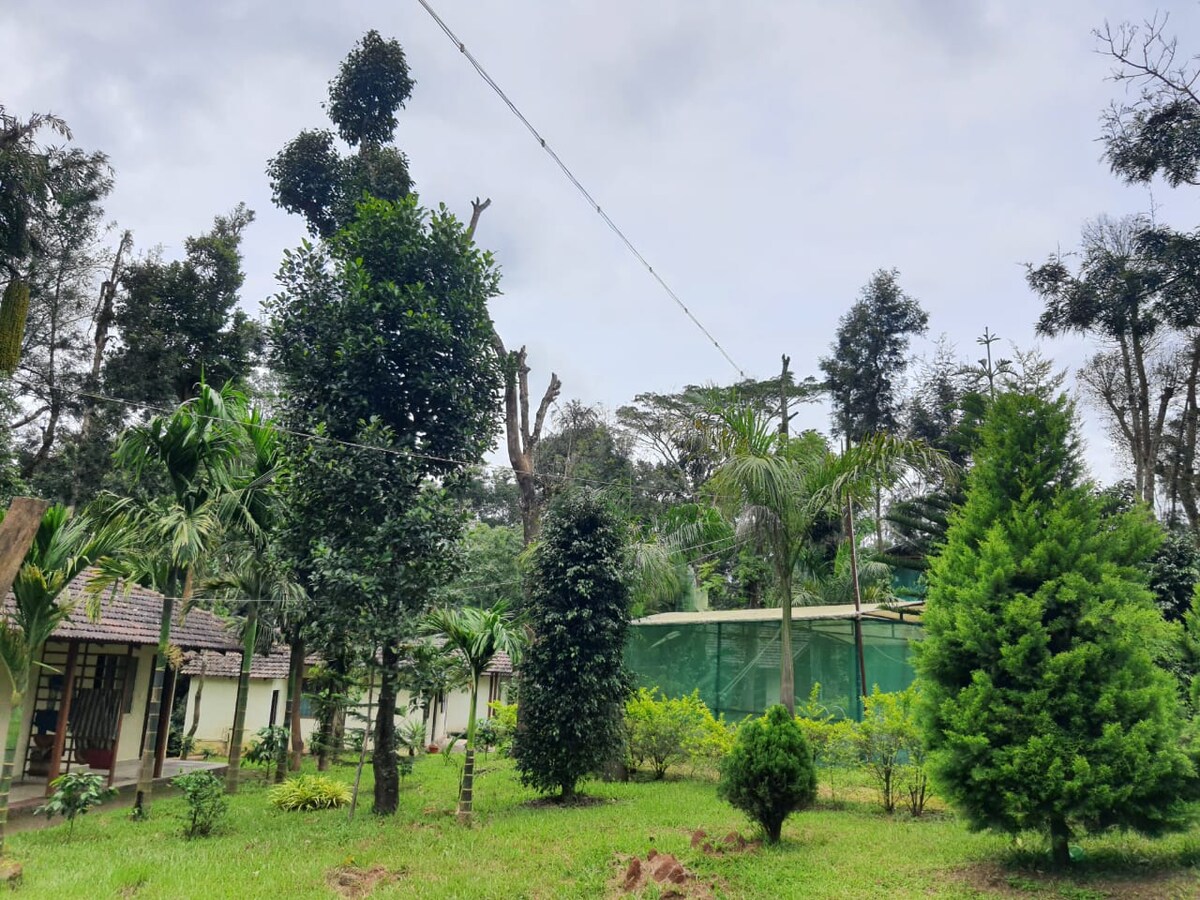 Lush greenery surrounds the property, featuring various trees and plants that create a tranquil outdoor space. The area includes a fenced section with open lawns, providing ample room for recreational activities or relaxation amid nature.