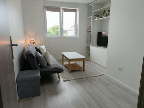 Top Airbnb: Entire renovated apartment à Sélestat