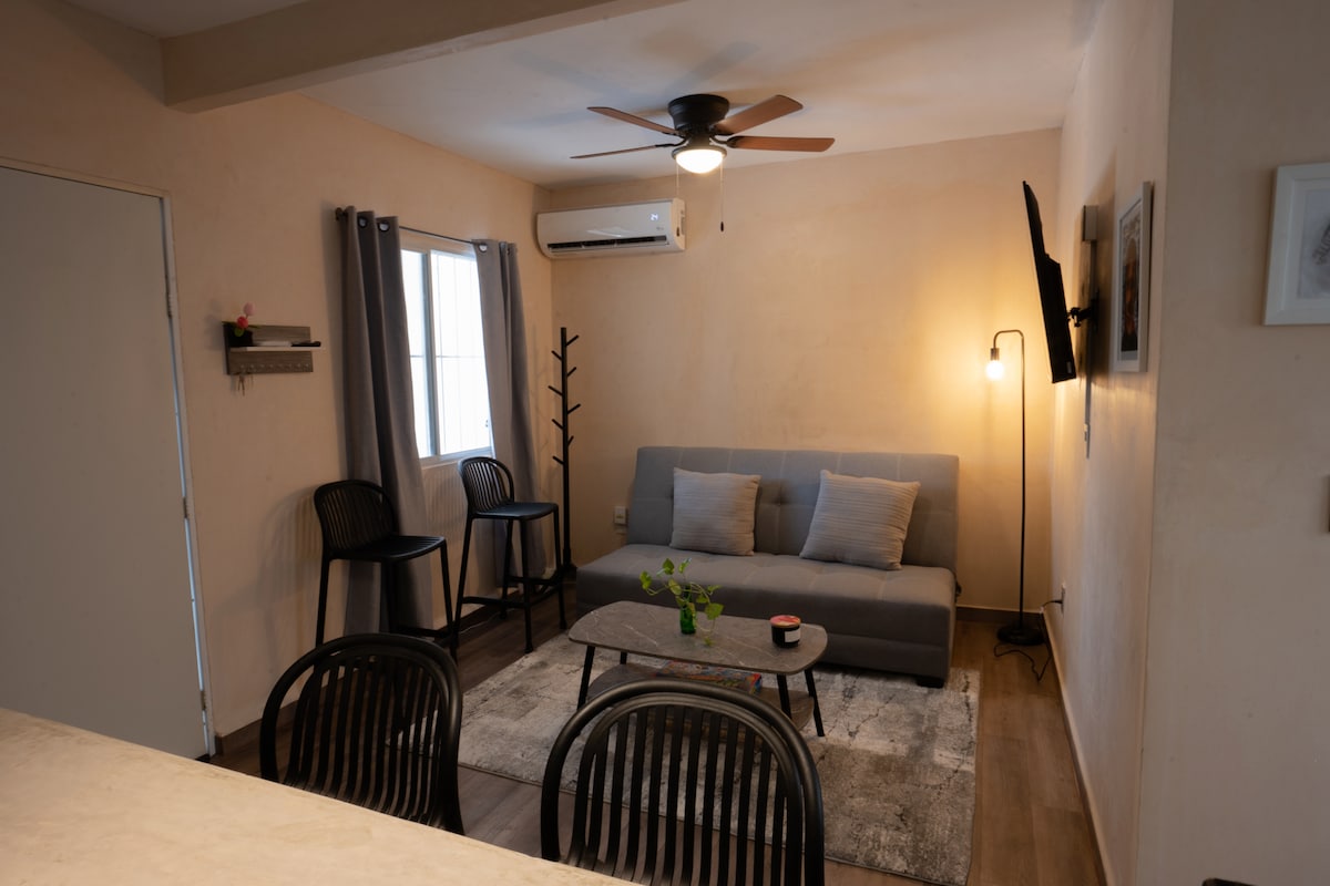 A living area features a subtle color palette with a gray sofa adorned with decorative pillows. Two black chairs are positioned near a low table, while a tall indoor plant adds a touch of nature. Light enters through a window dressed in sheer curtains.