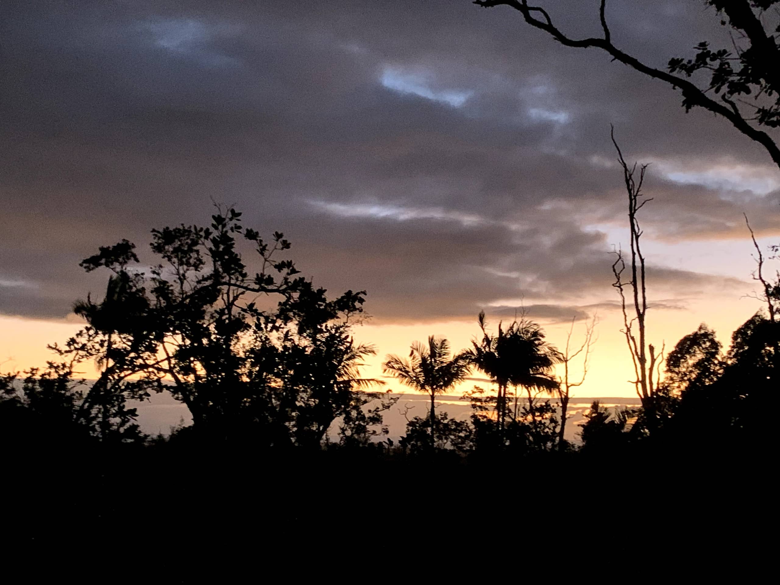 Kilauea. 30min to Volcano and Beaches.Treehouse. - Photo 40