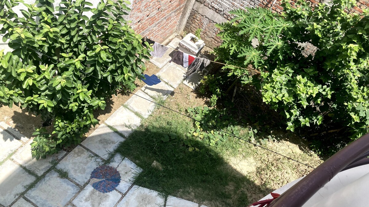 A serene outdoor area is shown, featuring patchy grass and a stone pathway. Green foliage provides shade, while laundry hangs on a clothesline, adding a homely touch. A small circular mosaic adds a decorative element to the ground.
