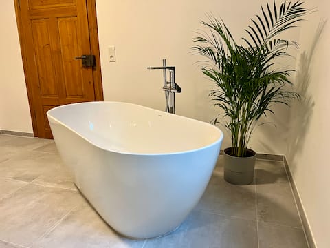 Renovated apartment with a dream bathroom