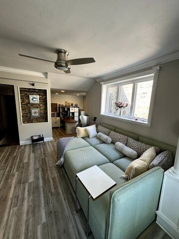 Luxury Lincoln Park Retreat 2BR 2LR Dublex gallery image 2