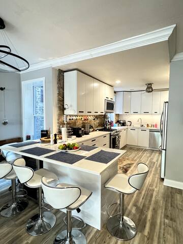 Luxury Lincoln Park Retreat 2BR 2LR Dublex gallery image 4