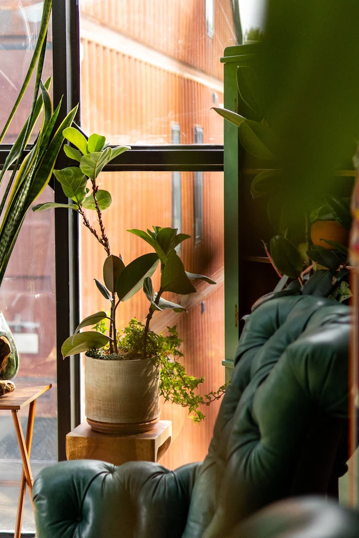 Boho Container Home - Rooftop Deck & Greenhouse - Indianapolis, IN