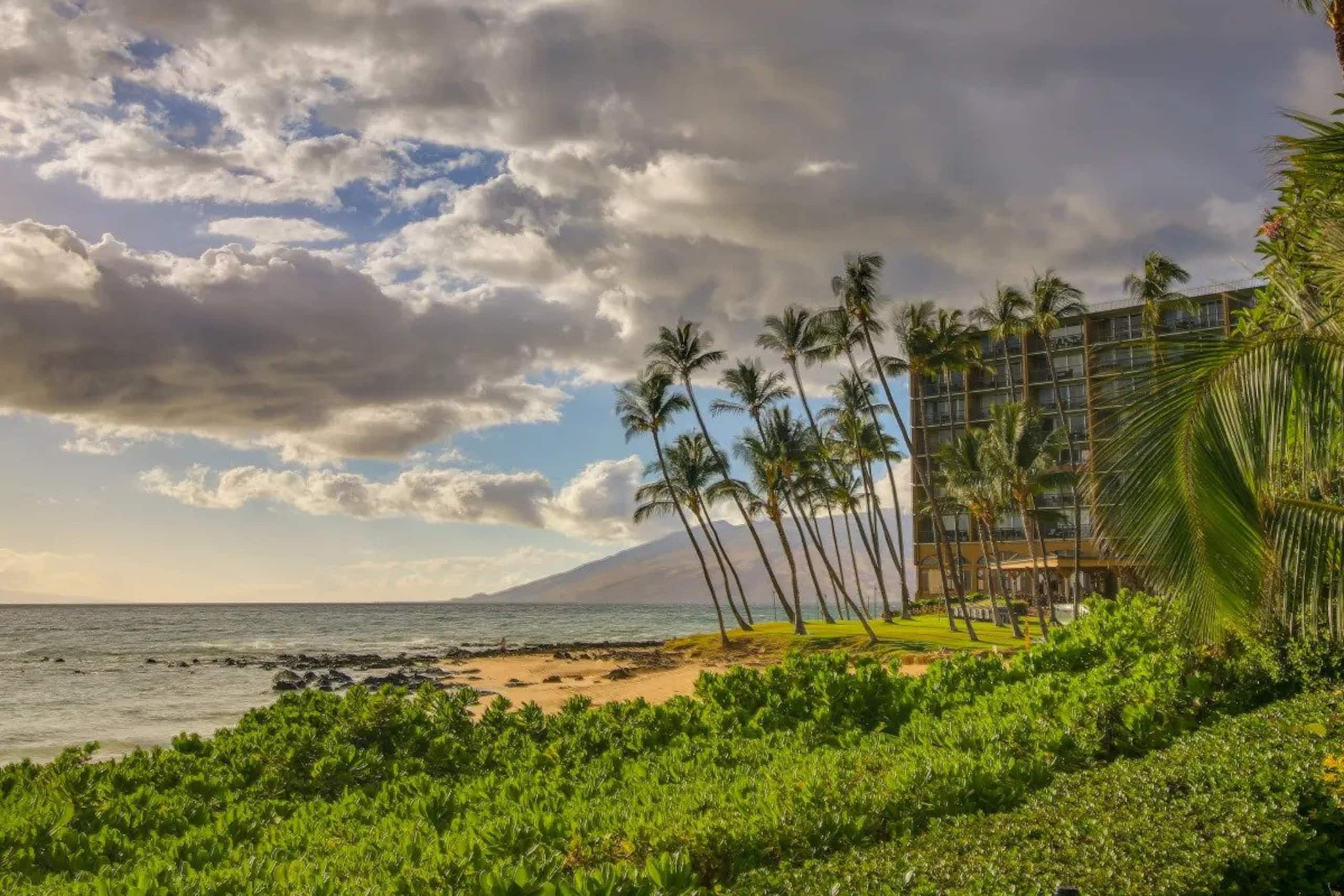 2 Bed / 2 Bath Beachfront Condo - Image 25
