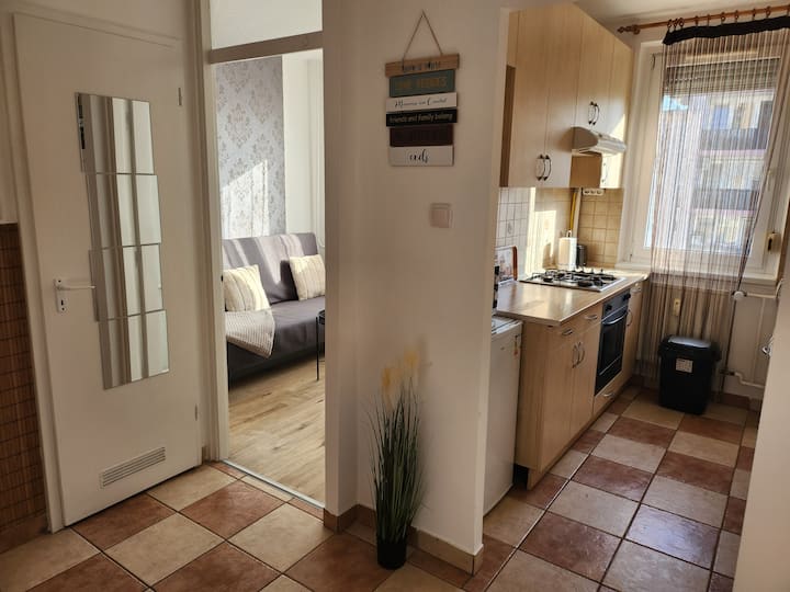 Lizo Deluxe Apartman +Ac +Car Rental - Székesfehérvár