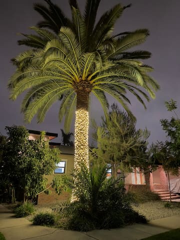 Warm East Venice House With Heated Pool And Spa gallery image 4