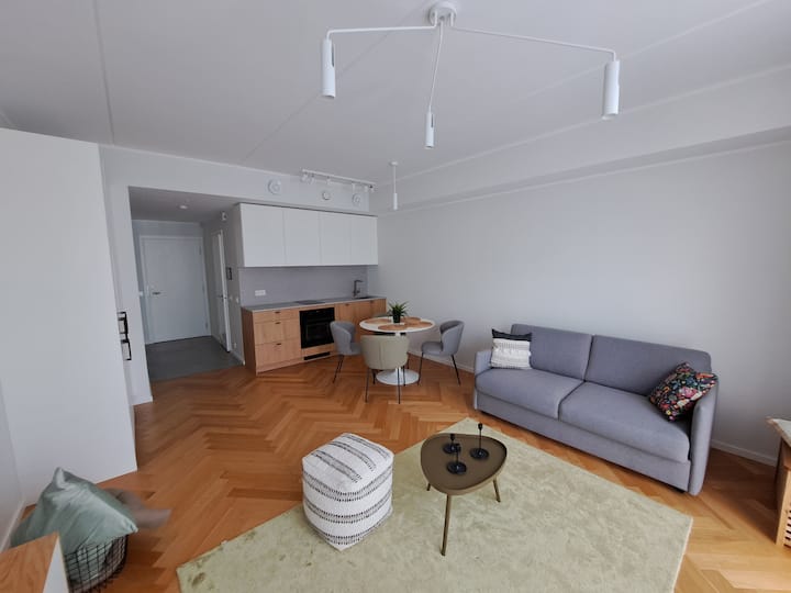 Brand New Premium Tiiu 12-1 Apartment - Tallinn